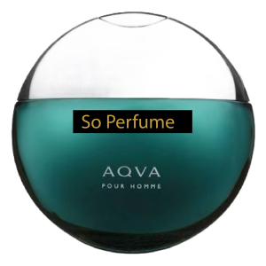 Aqva Pour Homme