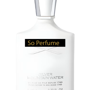 Silver Mountain Water